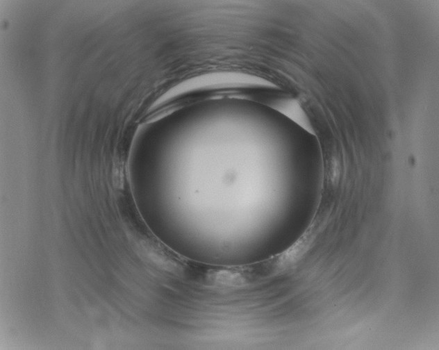 X0000075360180200609251111