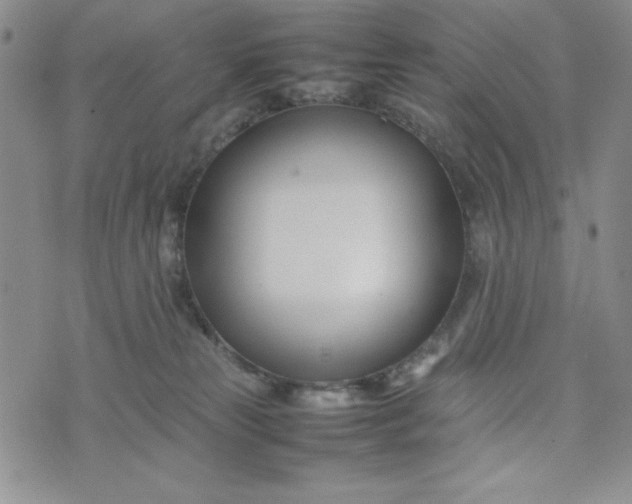 X0000075360181200609251111