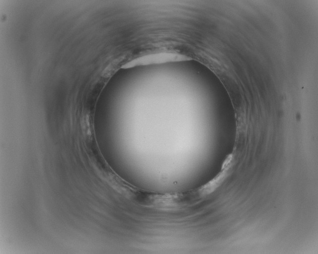 X0000075360182200609251111