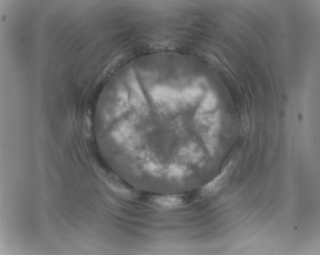 X0000075360183200609251111