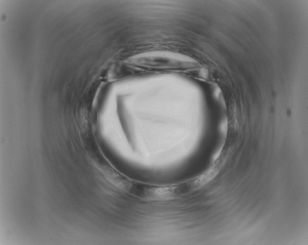 X0000075360184200609251111