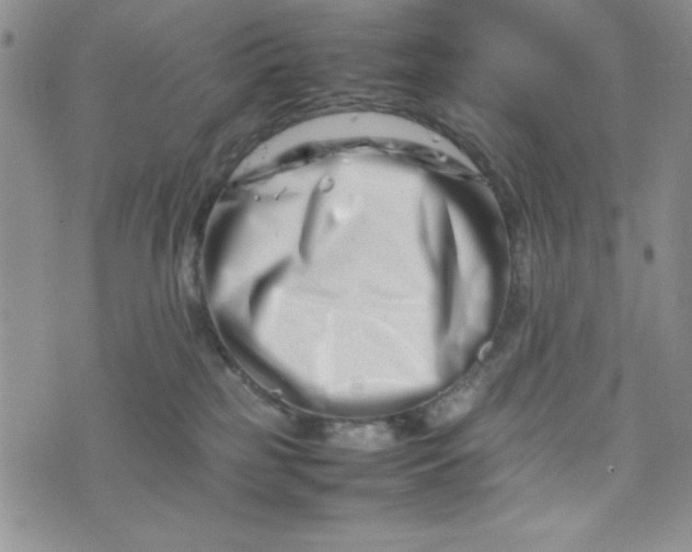 X0000075360185200609251111