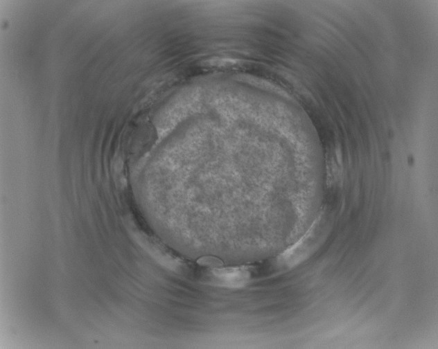 X0000075360187200609251111