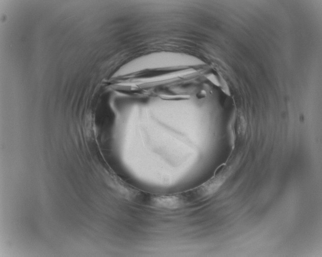 X0000075360189200609251111