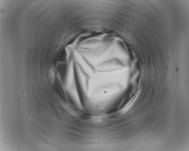 X0000075360190200609251111