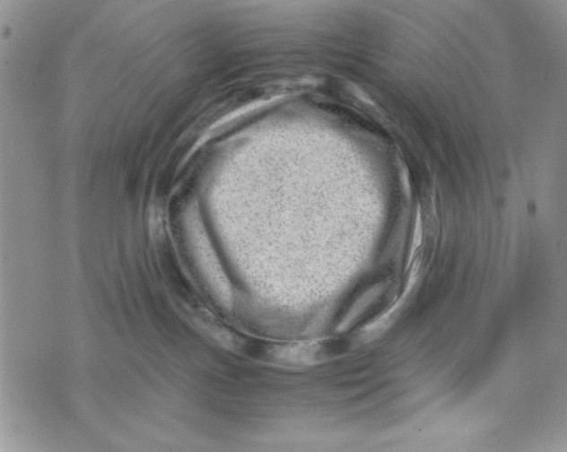 X0000075360191200609251111