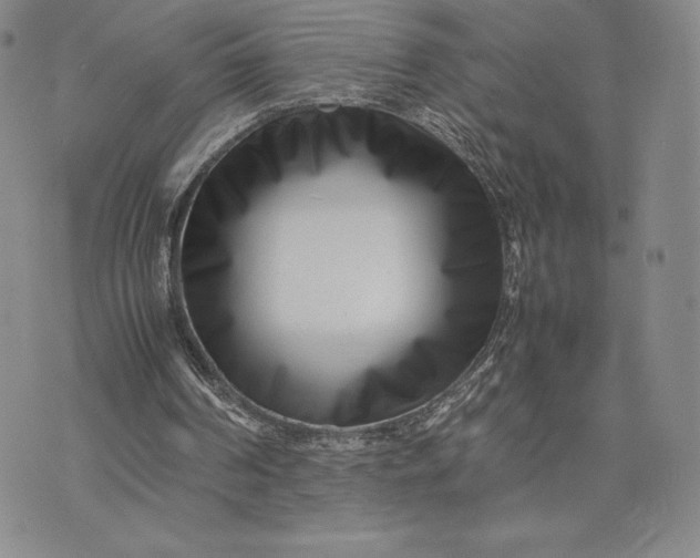 X0000075360194200609251110