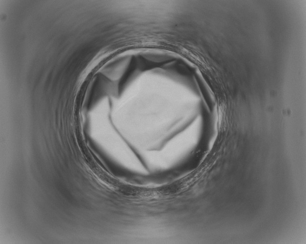 X0000075360195200609251110