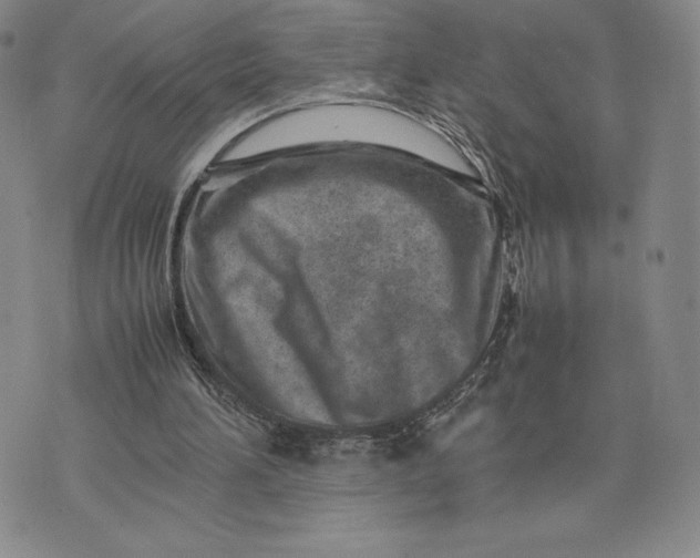 X0000075360196200609251110