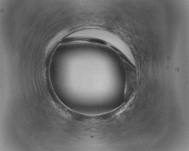 X0000075360197200609251110