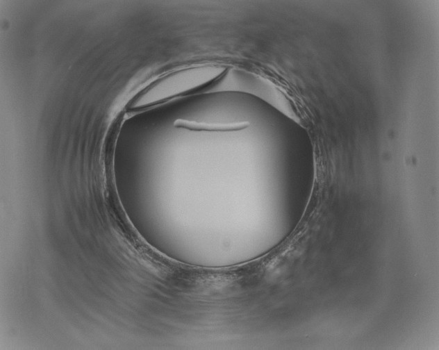 X0000075360198200609251110