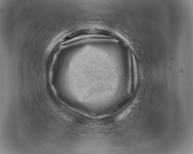 X0000075360199200609251110