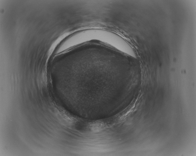 X0000075360200200609251110