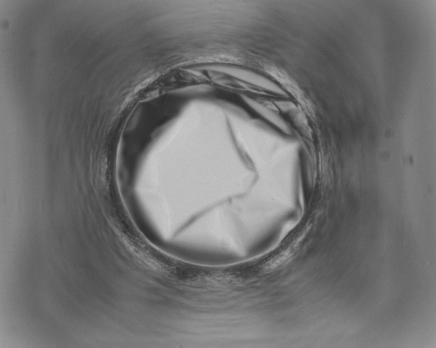 X0000075360201200609251110