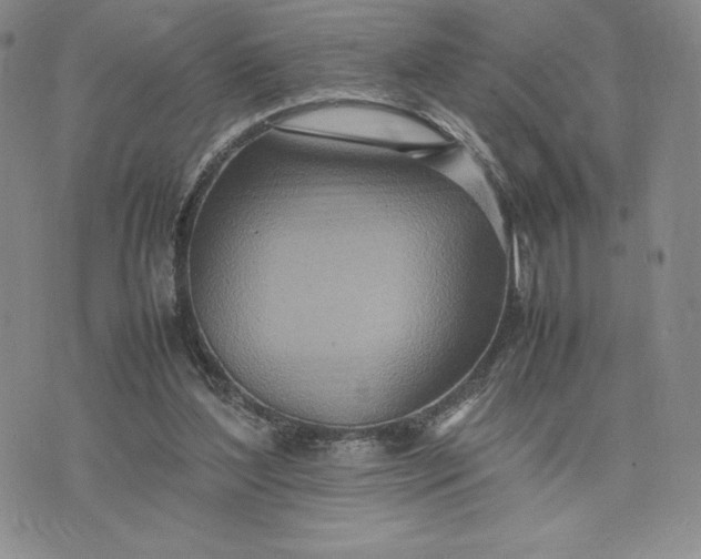 X0000075360204200609251110