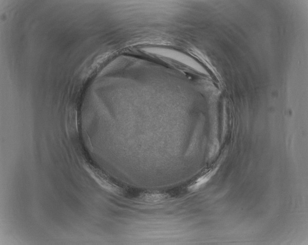 X0000075360205200609251110