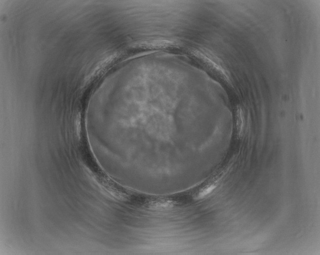 X0000075360206200609251110