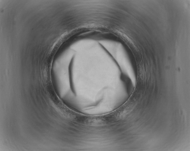 X0000075360208200609251110