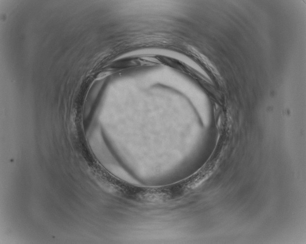 X0000075360209200609251110