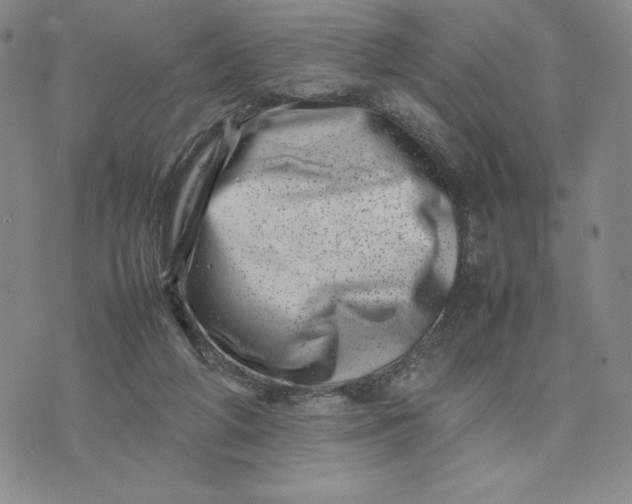 X0000075360210200609251110