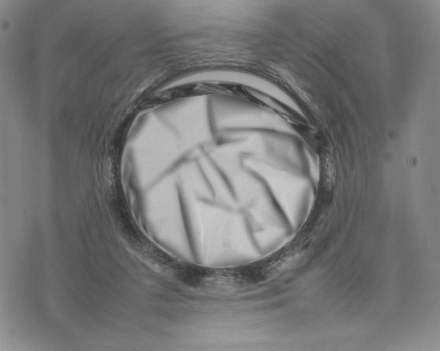 X0000075360211200609251110