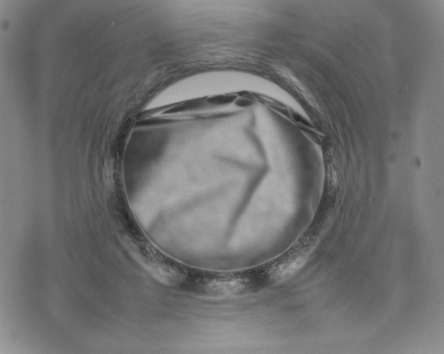 X0000075360213200609251110