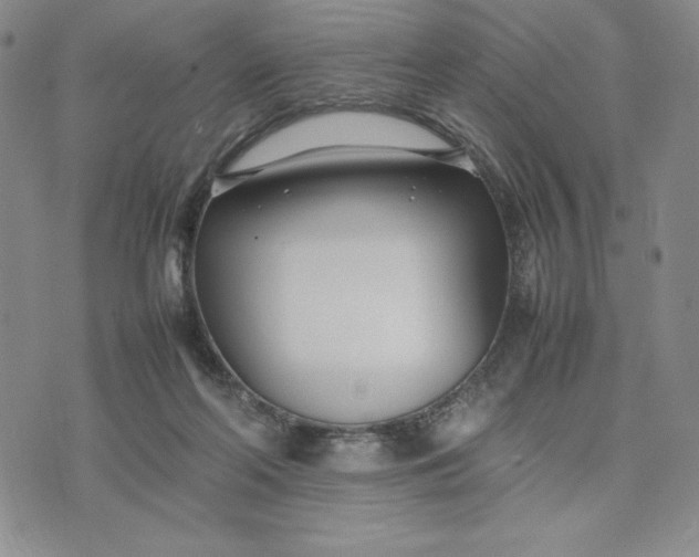 X0000075360214200609251110