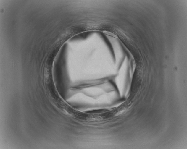 X0000075360215200609251110