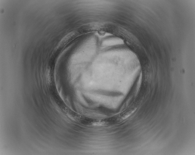 X0000075360216200609251110