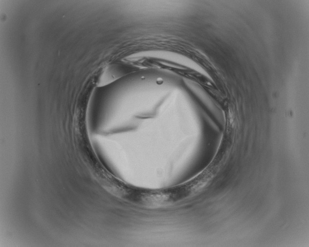 X0000075360217200609251110