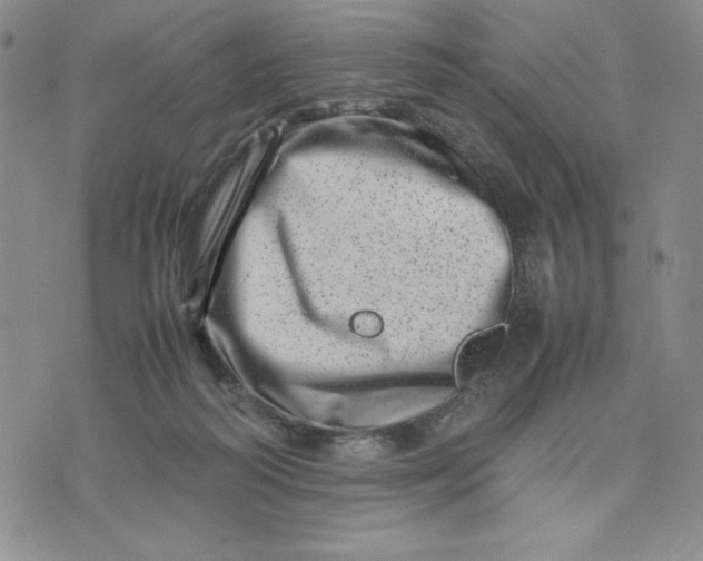 X0000075360218200609251110