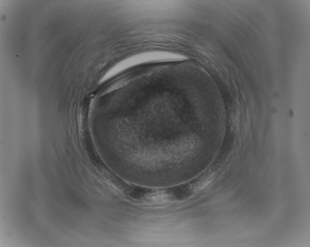 X0000075360219200609251110