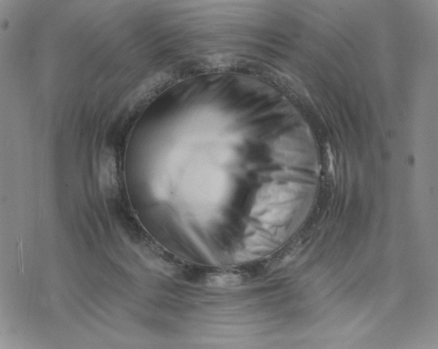 X0000075360220200609251110