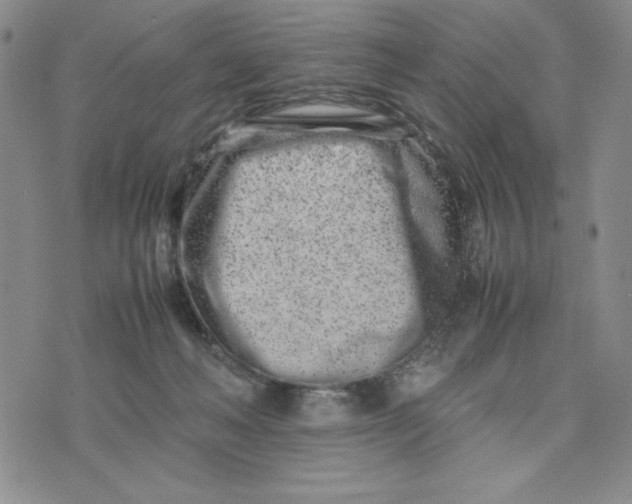 X0000075360222200609251110