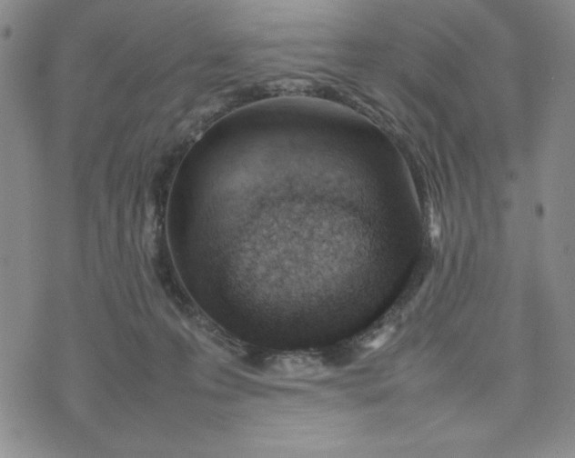 X0000075360223200609251110