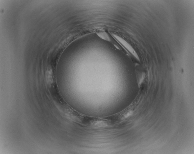 X0000075360224200609251110