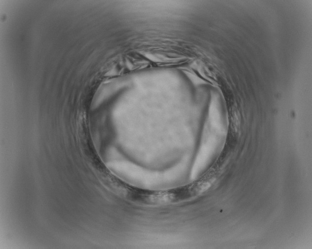 X0000075360225200609251110