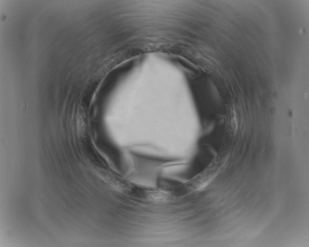 X0000075360226200609251110