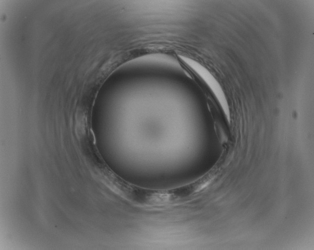 X0000075360227200609251110