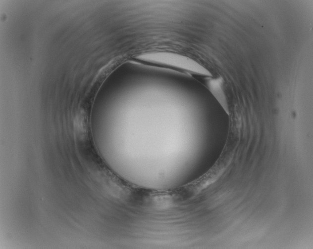 X0000075360228200609251110