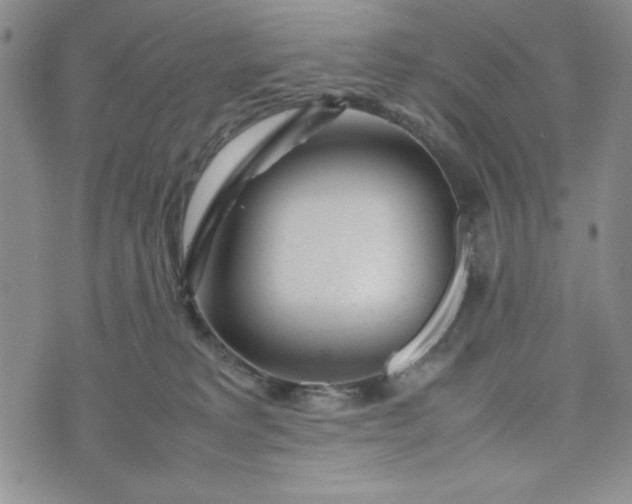 X0000075360229200609251110