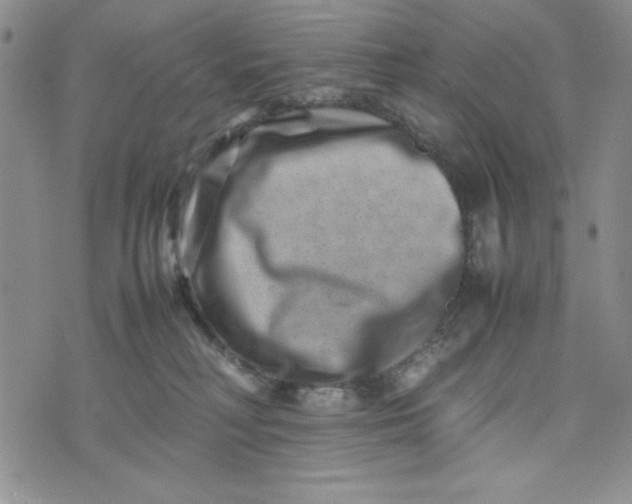 X0000075360230200609251110