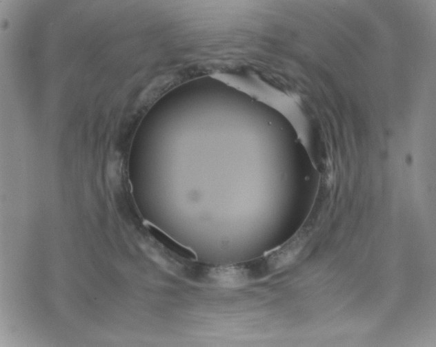 X0000075360231200609251110