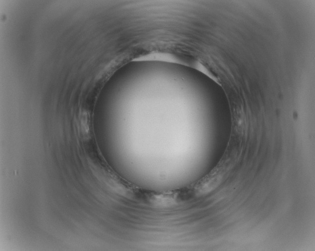 X0000075360232200609251110