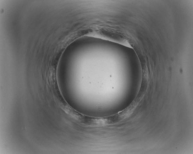 X0000075360233200609251110