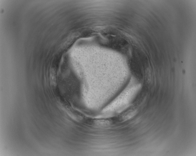 X0000075360234200609251110