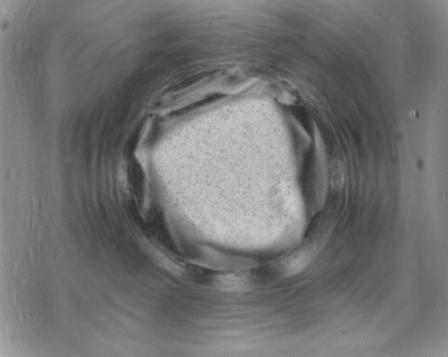 X0000075360238200609251110