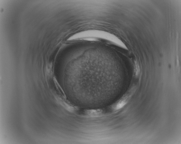 X0000075360239200609251110