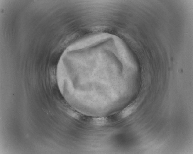 X0000075360240200609251110