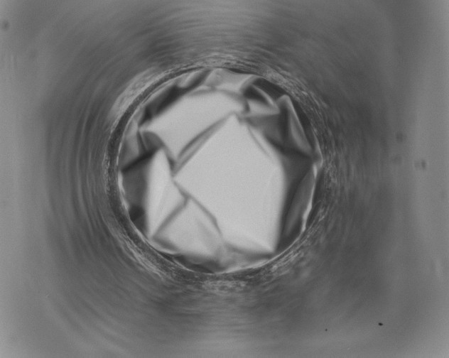 X0000075360242200609251109